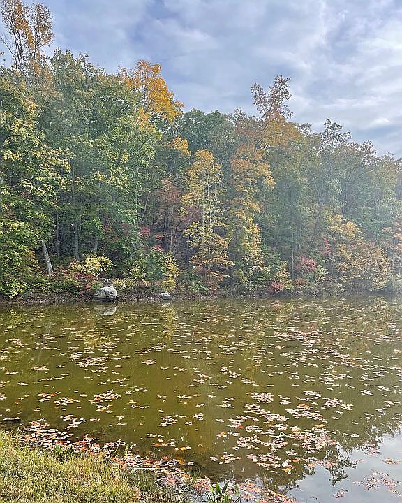 1st image of 529 Tranquility Lakes Dr