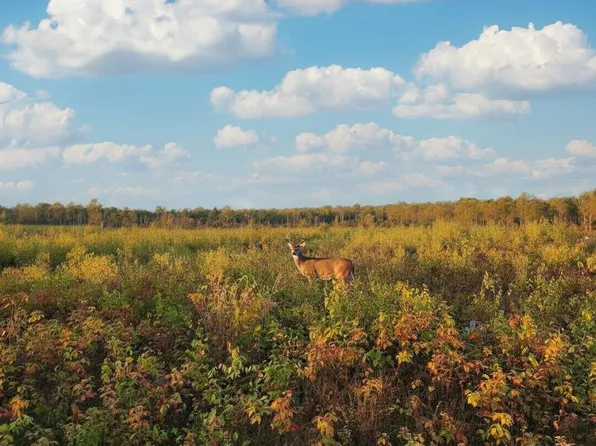 1st Monroe Easement Rd, Harrison, MI 48625