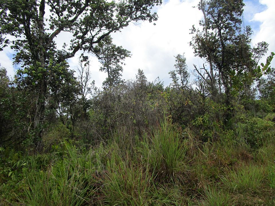 2nd image of Loke Rd Lot 3086