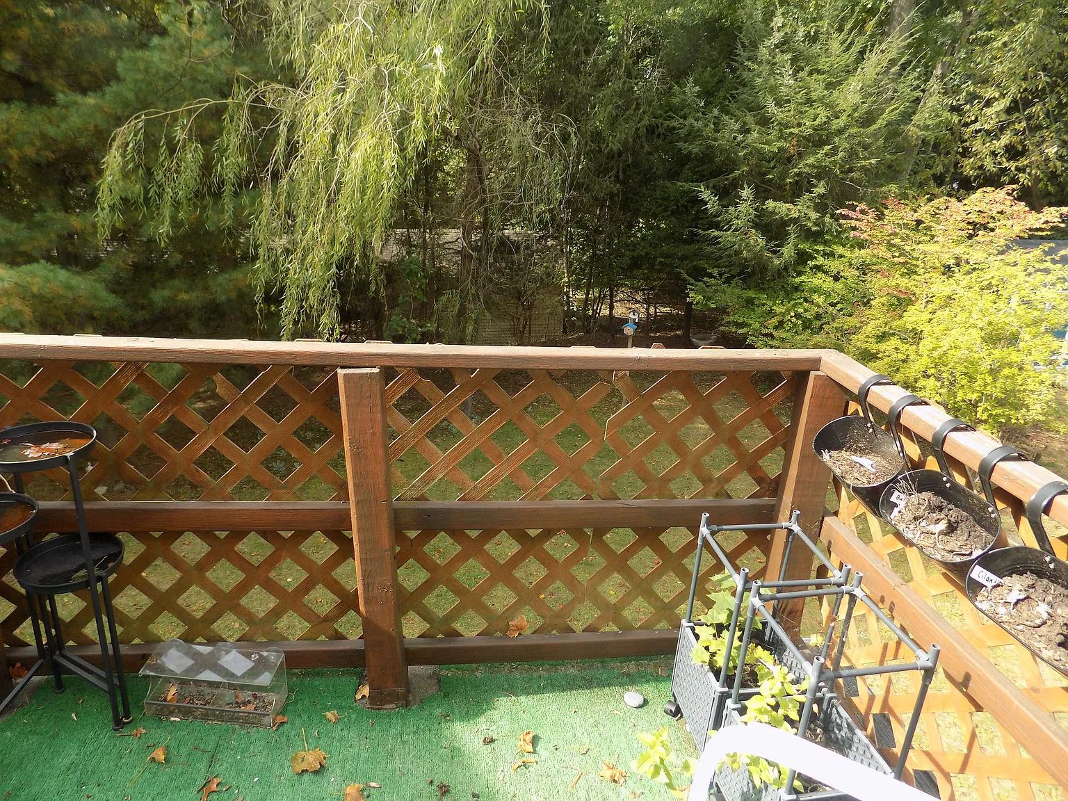 1 bed, $2,500 — Photo 3