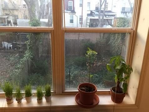 2nd image of 524 Bloomfield St APT 5