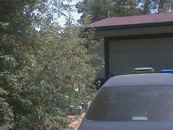5th image of 2065 Moall Dr