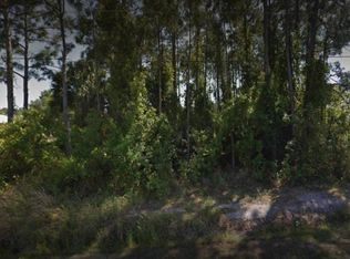 698 Elmont St NW, Palm Bay, FL 32907