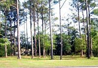 1st image of 5203 Driftwood Ln