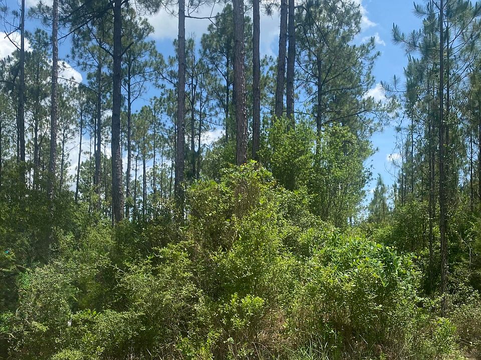 2nd image of Joe Dugger Rd