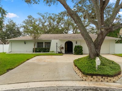 10389 Bay Hills Dr, Largo, FL, 33774