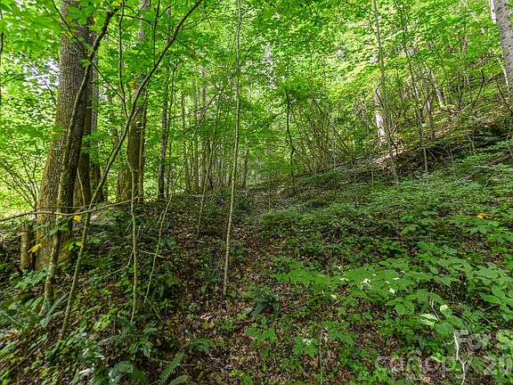 5th image of Board Tree Rd #2