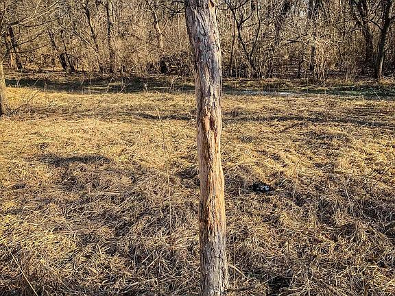 4th image of 2327 Jefferson Rd