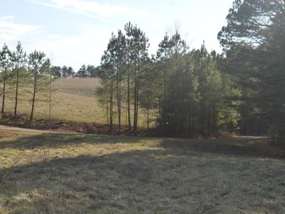 0 Maggie Pye Ln #6, Mill Spring, NC, 28756