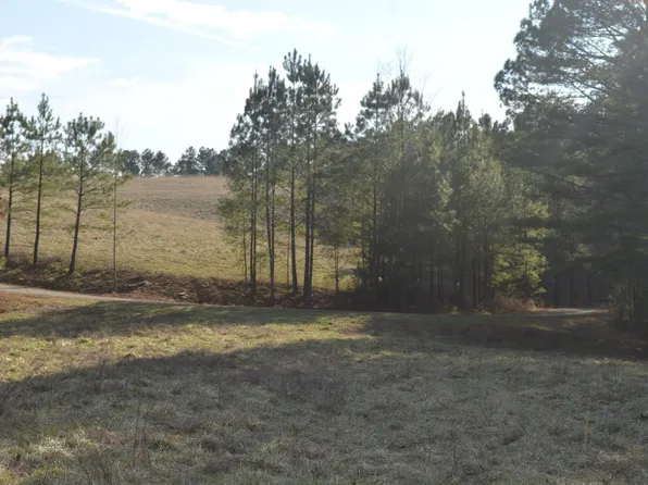 0 Maggie Pye Ln #6, Mill Spring, NC 28756