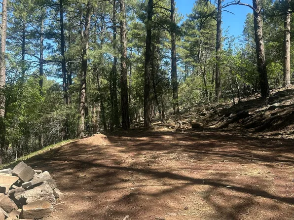 230 W Pine Shadow Dr, Lakeside, AZ 85929