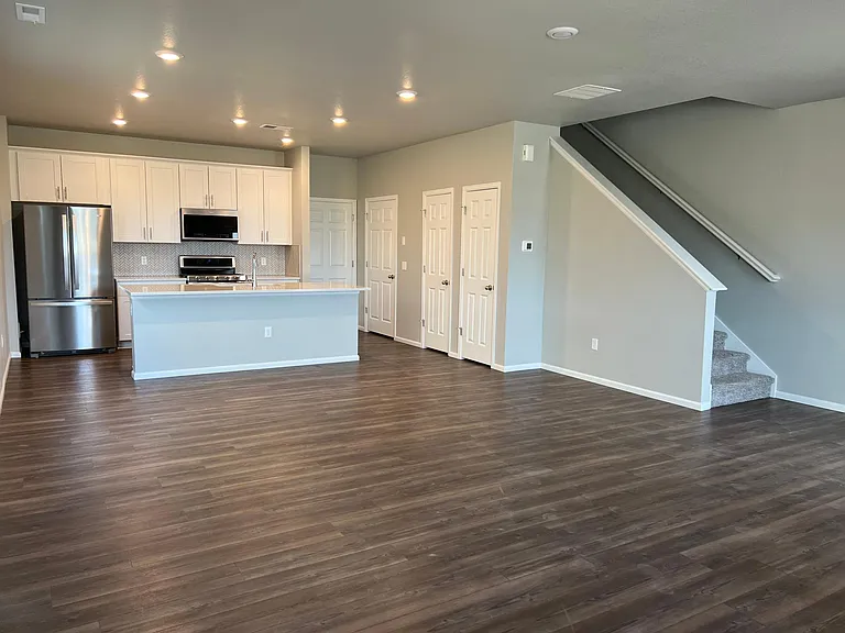 Extra closets for storage under the stairs