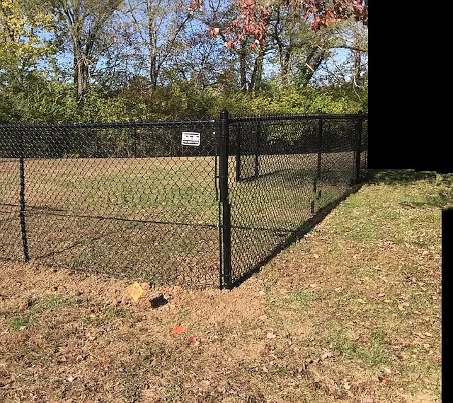 Dog Park