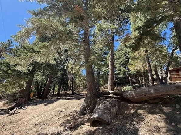 33112 Juniper Ln, Green Valley Lake, CA 92341