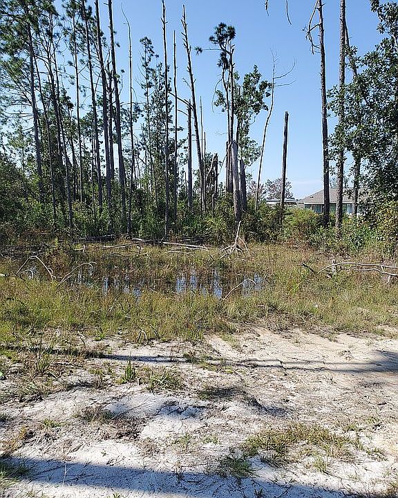 2nd image of 7120 Noel Rd