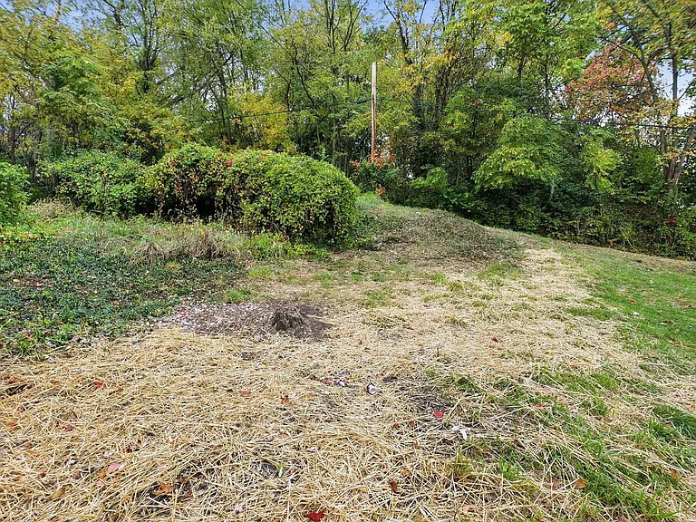 1041 Market St — Photo 36