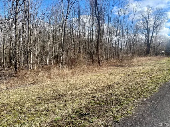 254 Kent Rd #8, Hannibal, NY 13074