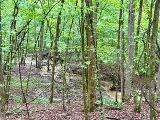 4th image of 0 County Road 265