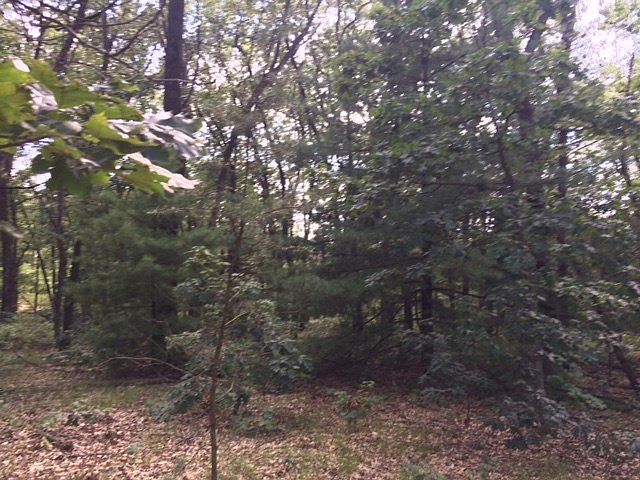 2nd image of Jordan Ln