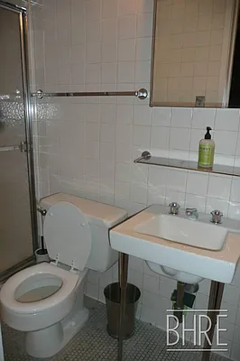 Rented by Brooklyn Heights Real Estate Inc | media 22