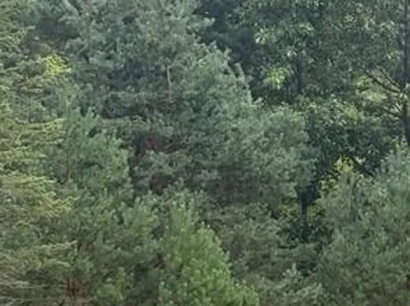 5480 Blakely Dr NE Parcel 3, Belmont, MI 49306