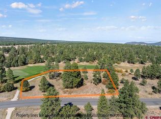 536 Badger Trl N, Ridgway, CO 81432