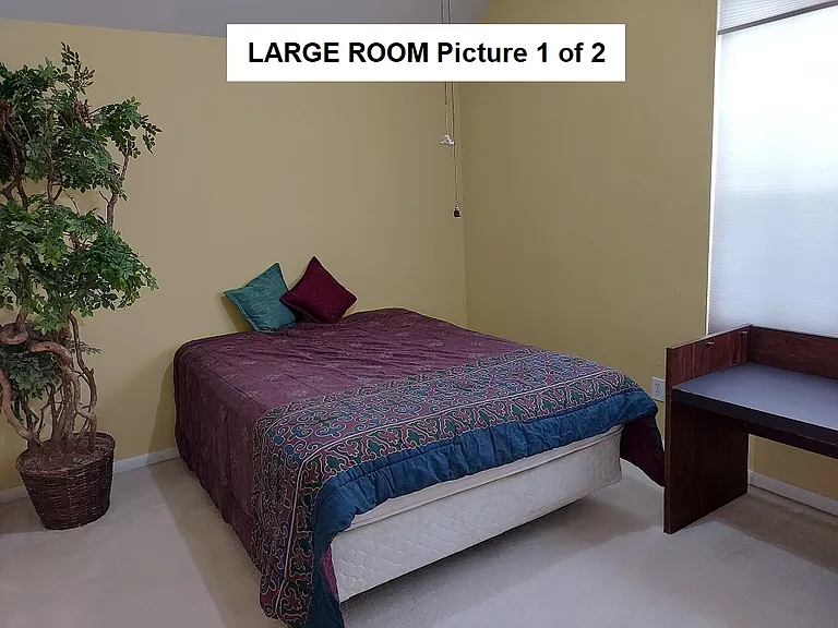8934 Aberdeen Oaks Dr — Photo 6