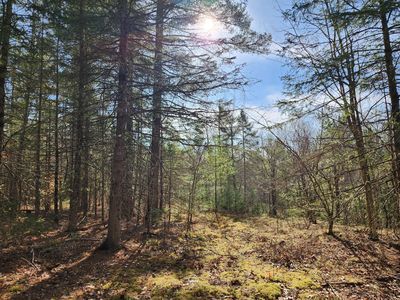 151 Church Ln, Au Sable Forks, NY, 12912