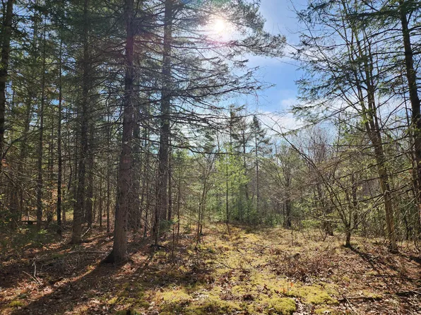 151 Church Ln, Au Sable Forks, NY 12912