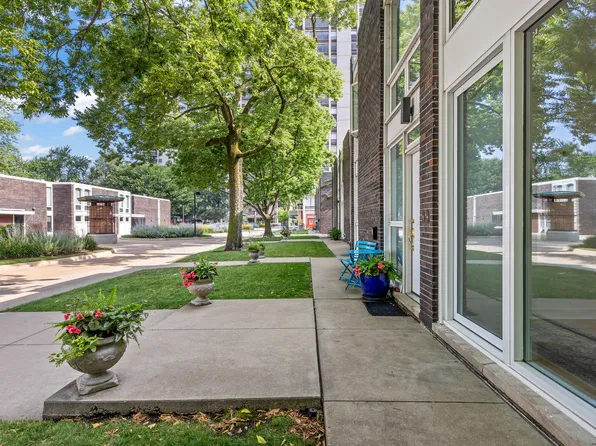 1319 N Sandburg Ter, Chicago, IL 60610