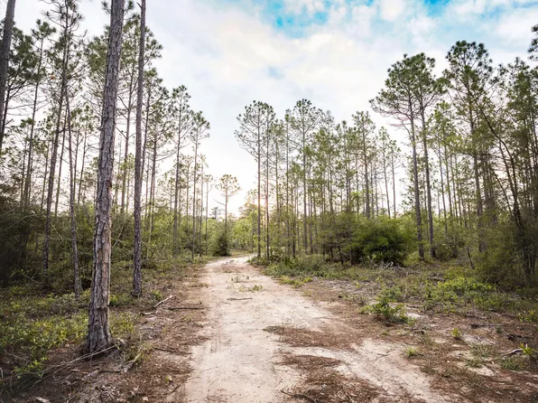 Pine Ln, Freeport, FL 32439