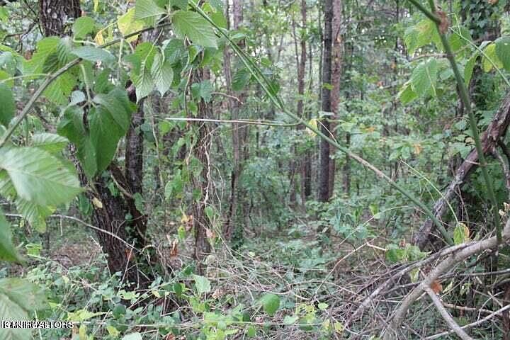 1st image of Highland Dr