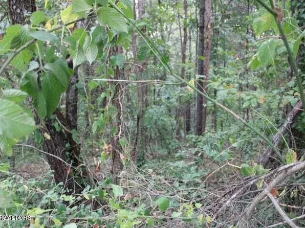 Highland Dr, Kingston, TN 37763