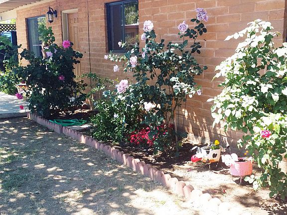 3rd image of 16435 N Avenida Del Oro