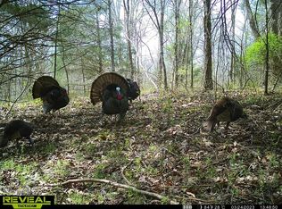 7000 Van Buren Rd, Hickory Valley, TN 38042