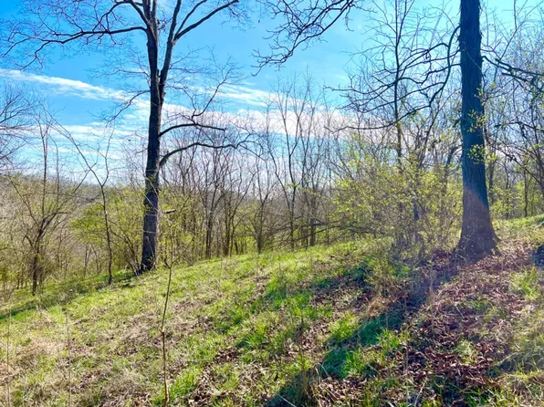 0 Old Us Route 68 Ln, Ripley, OH 45167