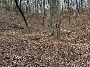 408 Back Valley Rd, Sale Creek, TN 37373