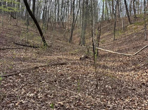 408 Back Valley Rd, Sale Creek, TN 37373