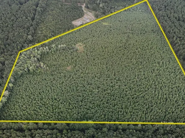 Joe Holton Rd Lot Wp002, Eros, LA 71238