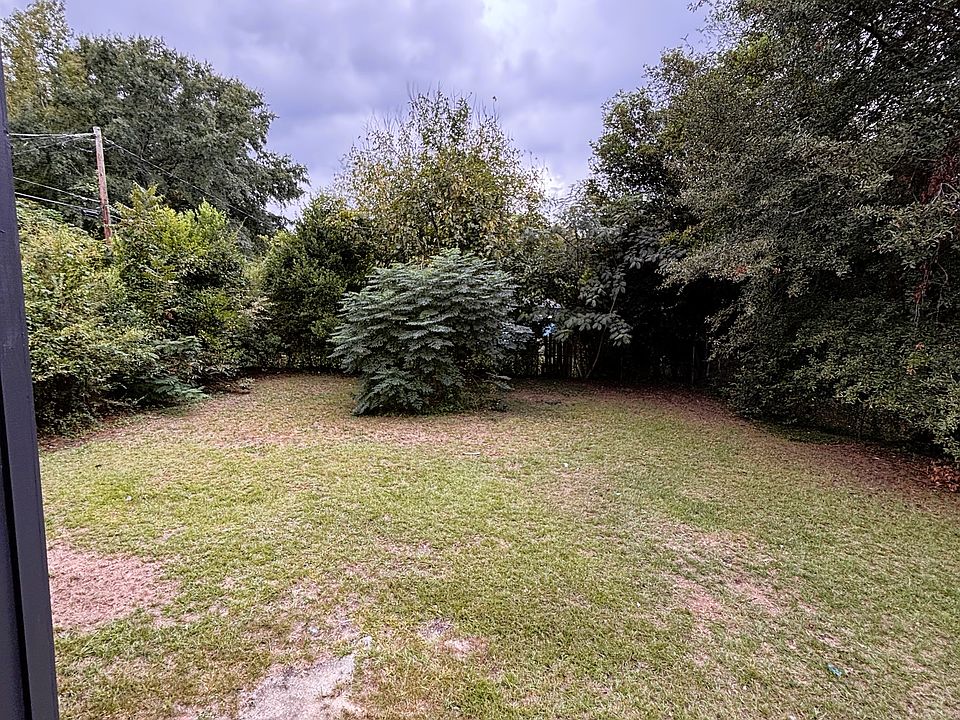 Full Back Yard