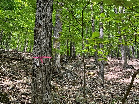 4th image of 589 Tamarack Ln