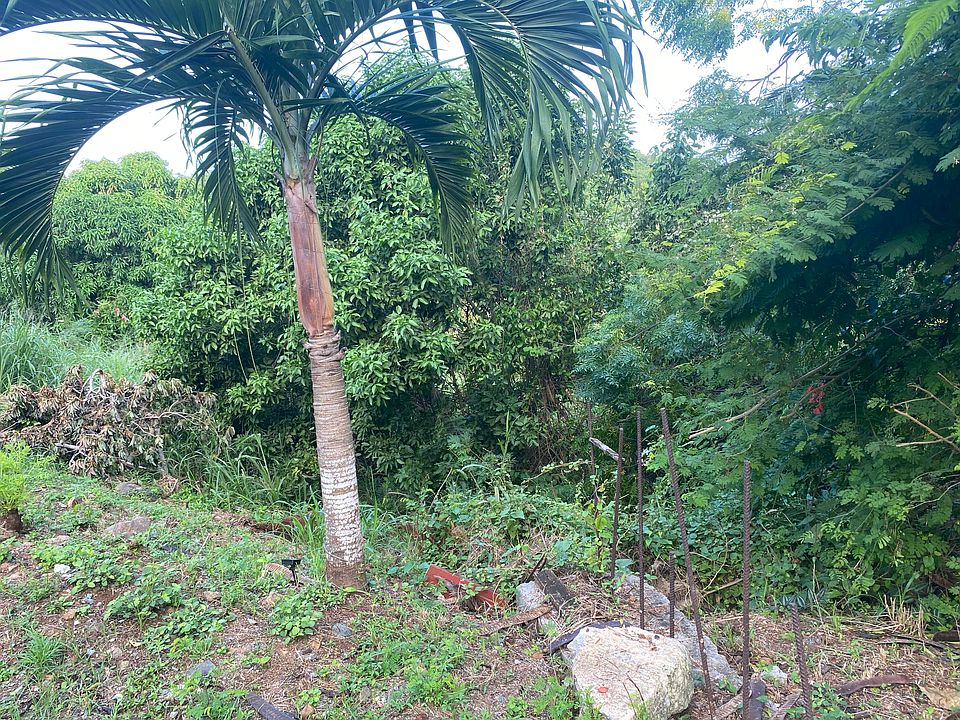 14 Bonne Esperance Est Saint Thomas VI Zillow