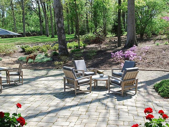 Back Yard-stone terrace