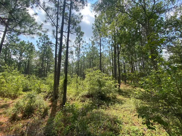 Fox Run, Windsor, SC 29856