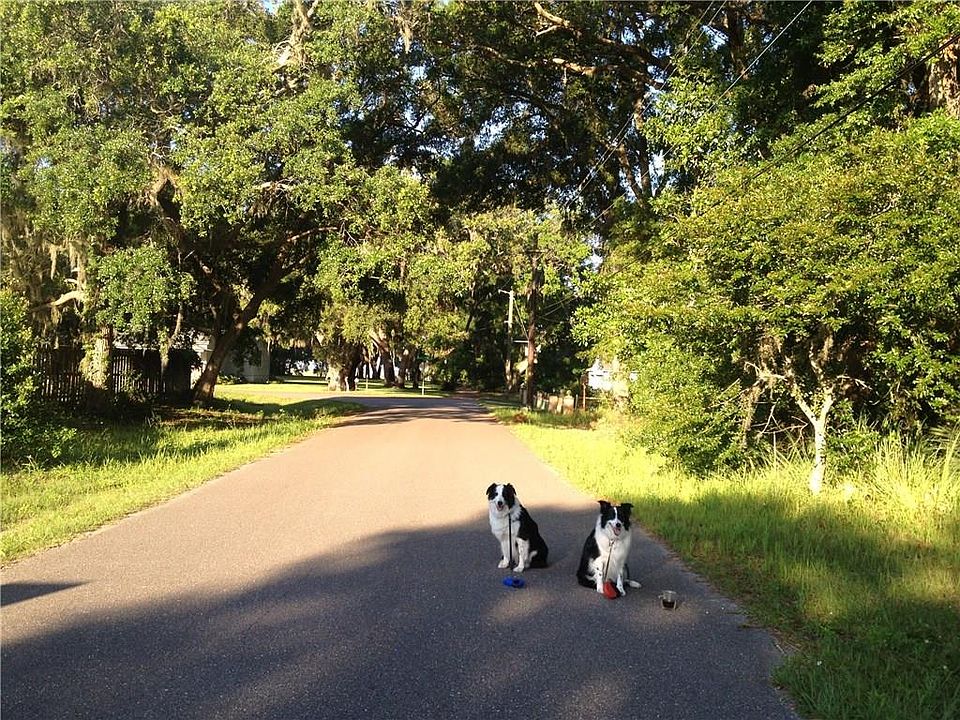 2nd image of Forrest Dr