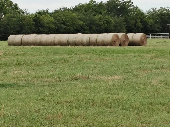 County Road 1157, Brashear, TX 75420