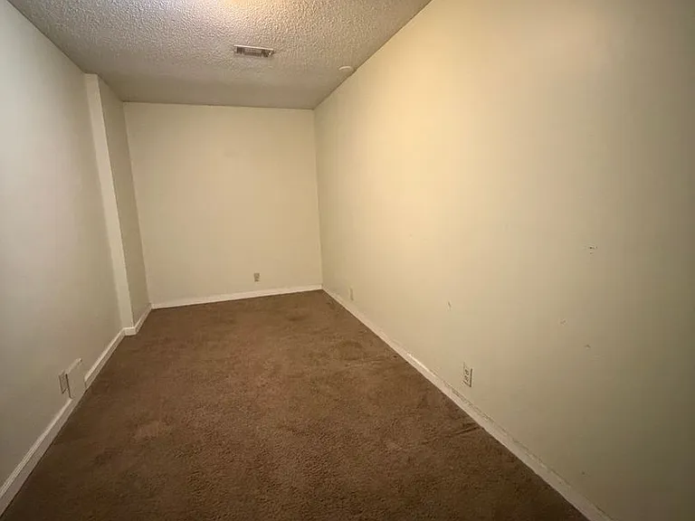 911 Black Willow Dr — Photo 23