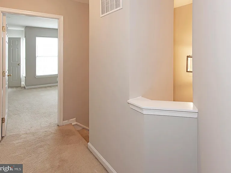 25334 Sweetness Ter — Photo 16