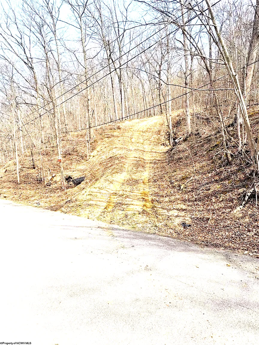 Pine Grove Rd photo 1