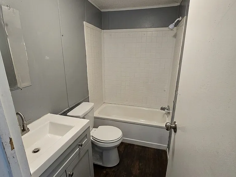 Swan Lake - Rent to Own — Photo 42